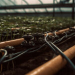 nawadnianie kropelkowe filtry